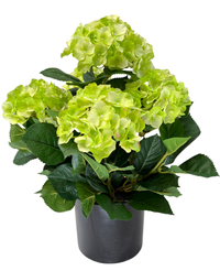 Kunstig Hortensia Busk Grønn UV 50cm