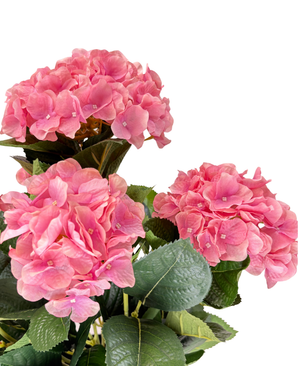 Kunstig Hortensia Busk Lys Rosa UV 50cm