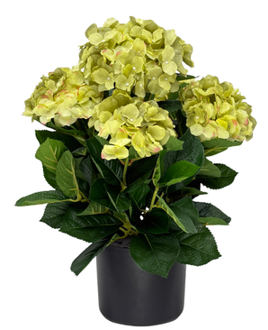 Kunstig Hortensia Busk Grønn/Gul UV 50cm