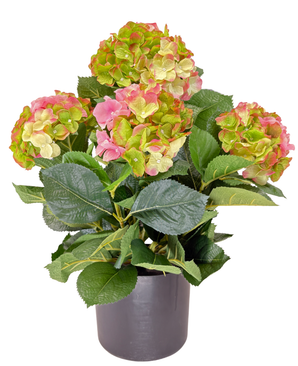 Kunstig Hortensia Busk Magical Green/Pink UV 50cm