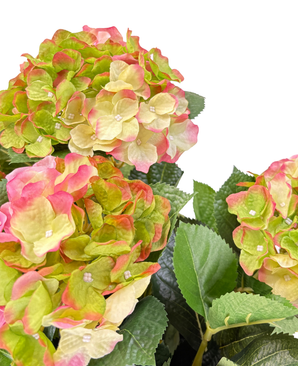 Kunstig Hortensia Busk Magical Green/Pink UV 50cm