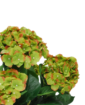 Kunstig Hortensia Busk Magical Grønn UV 50cm