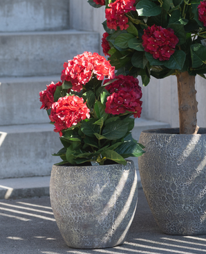 Kunstig Hortensia Busk Rød UV 50 cm