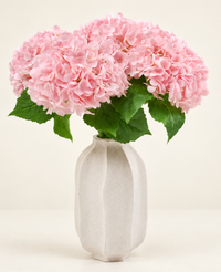 Kunstig Hortensiabukett "Annabelle" Rosa 55 cm