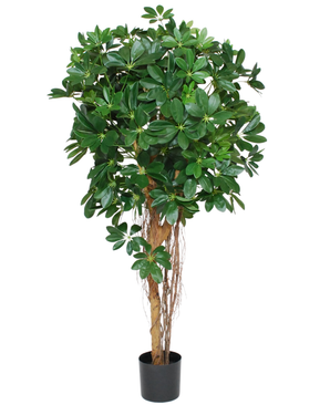 Kunstig Baby Schefflera 150cm