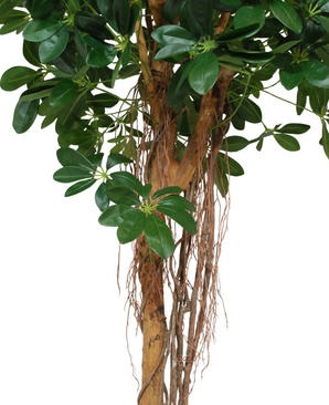 Kunstig Baby Schefflera 150cm