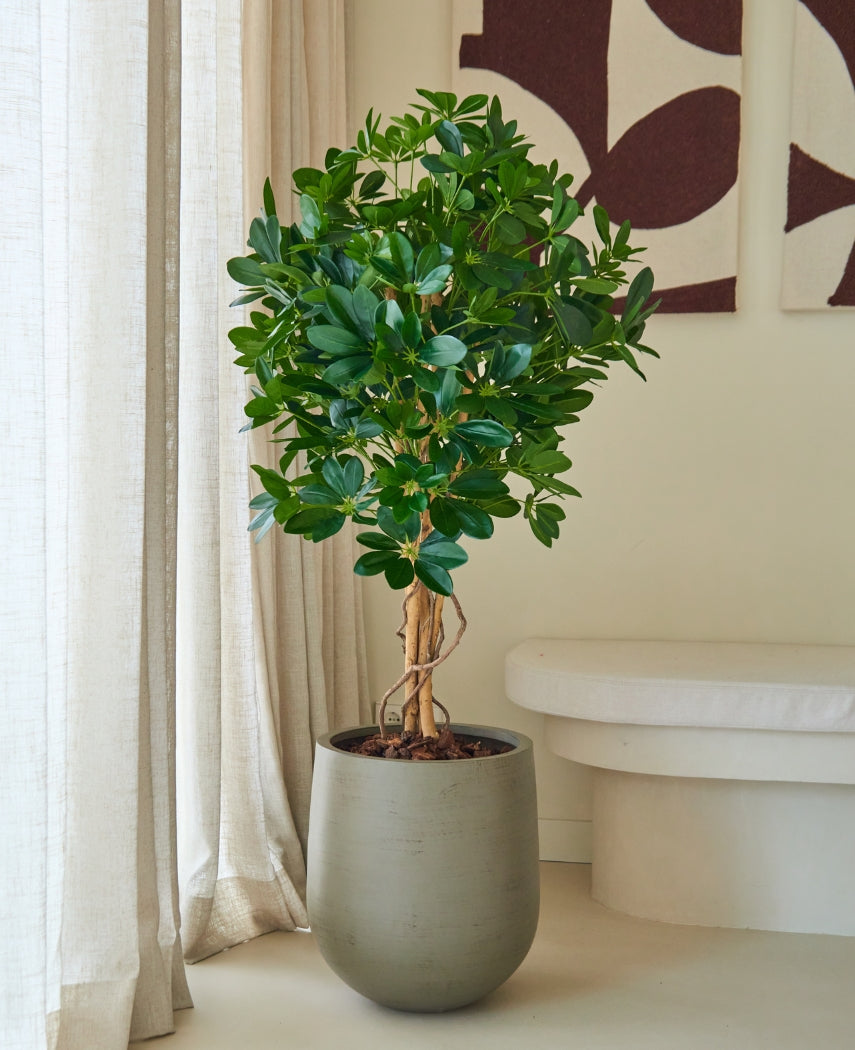 Kunstig Schefflera 120cm