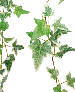 Kunstig Boston Eføy Girlander Grønnhvit UV 180cm