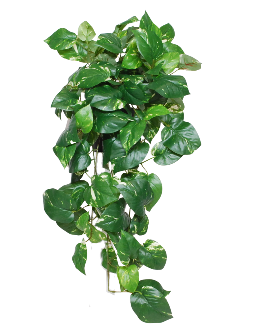 Kunstige Hengende Gullranke Deluxe i Potte UV 80cm