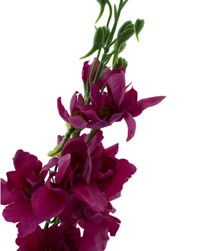 Kunstig blomst Larkspur Real Touch rosa 90 cm