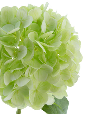 Kunstig Hortensia Real Touch Lys Grønn 49 cm