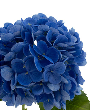 Kunstig Charlotte Hortensia Real Touch Blå 49cm