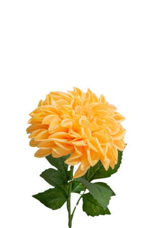 Kunstig Georgine Lotte Real Touch Fersken 72cm