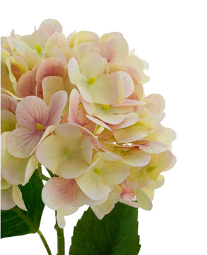 Kunstig Hortensia Real Touch Krem/Rosa 58cm