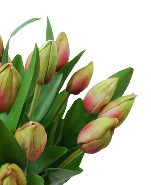 Kunstig Tulipan Bukett i Vase Grønn  45 cm