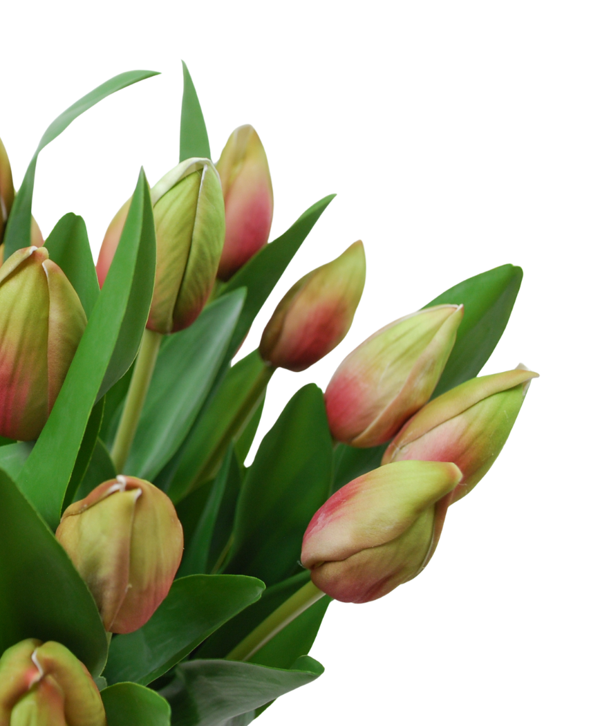 Kunstig Tulipan Bukett i Vase Grønn  45 cm