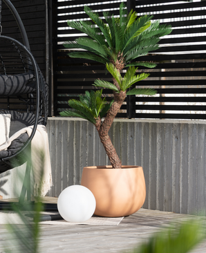 Kunstig Cycas Palme Twist UV 160cm