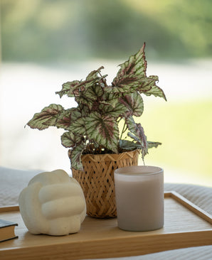 Kunstig Begonia i Potte UV 35cm