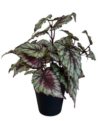 Kunstig Begonia i Potte UV 35cm