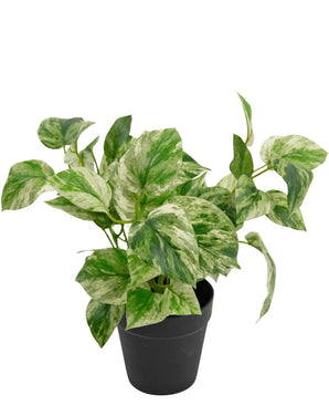 Kunstig Gullranke i Potte UV 25cm