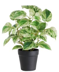 Kunstig Gullranke i Potte UV 25cm