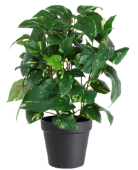 Kunstig Gullranke i Potte UV 35cm