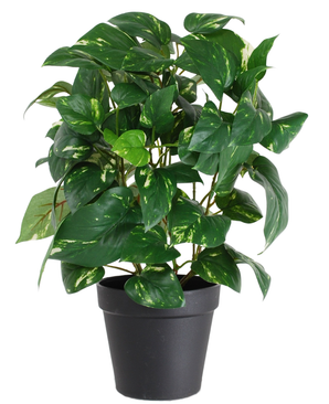 Kunstig Gullranke i Potte UV 35cm