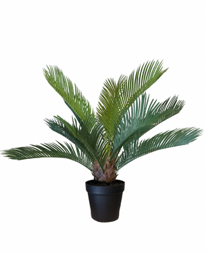 Kunstig Cycas Palme UV 50cm