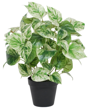 Kunstig Gullranke Grønnhvit i Potte UV 35cm