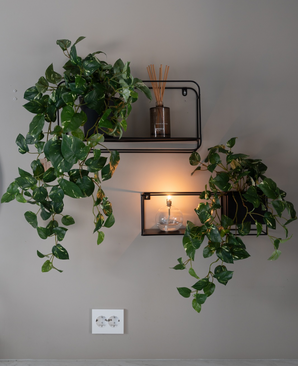 Kunstige Hengende Gullranke Deluxe i Potte UV 80cm