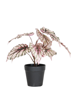 Kunstig Begonia i Potte Lilla UV 25cm