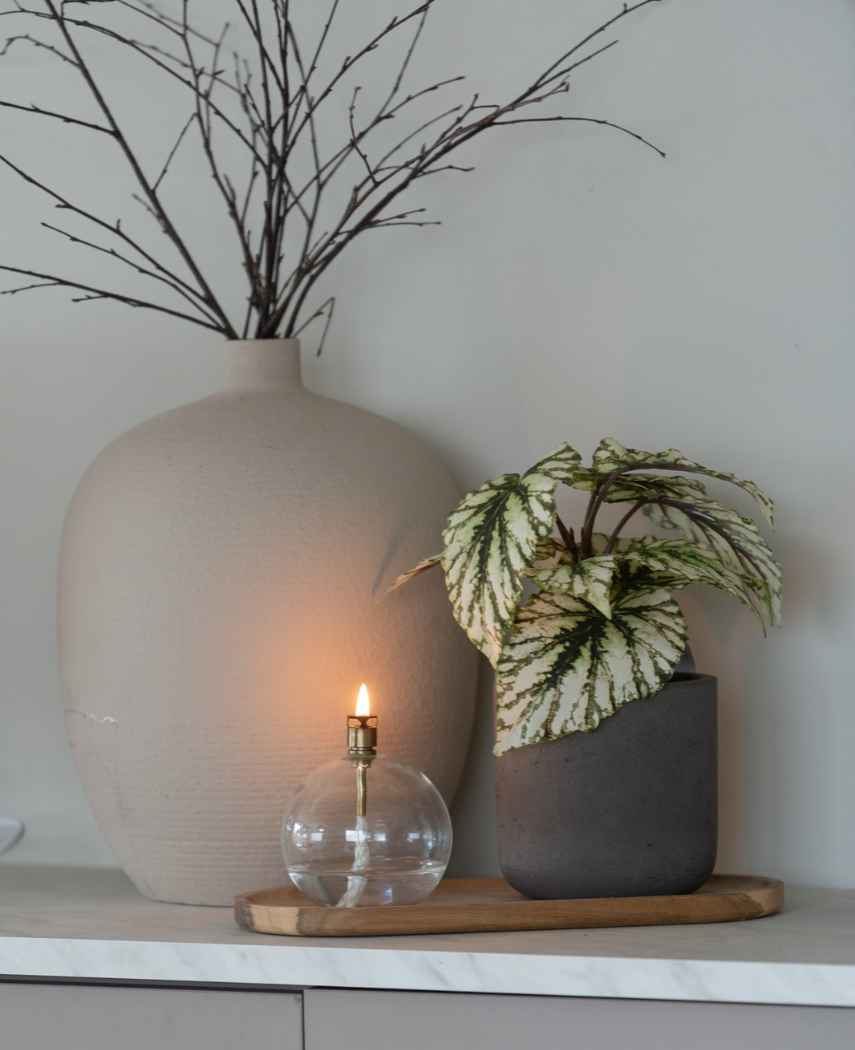 Kunstig Begonia i Potte Grønn UV 25cm