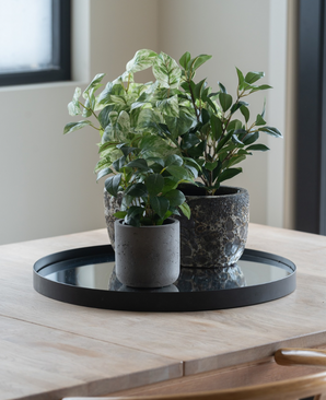 Kunstig Jasminplante i Potte UV 25cm