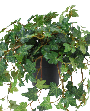 Kunstig Eføy Deluxe Grønn UV i Potte 40cm