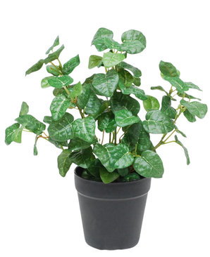 Kunstig Pumila i Potte Grønn UV 25cm