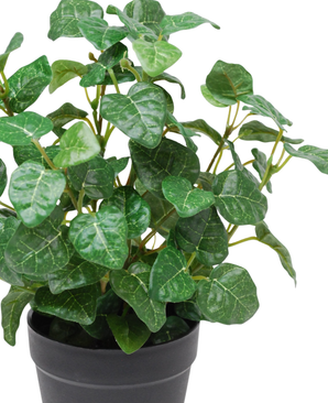 Kunstig Pumila i Potte Grønn UV 25cm