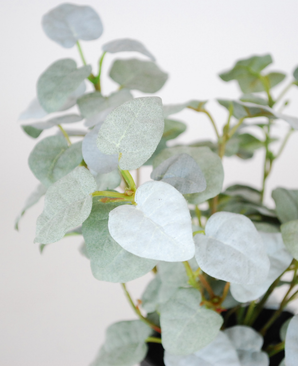 Kunstig Pumila "Silver" i Potte UV 25cm