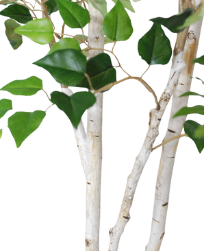 Kunstig "Silver" Bjørk 180cm