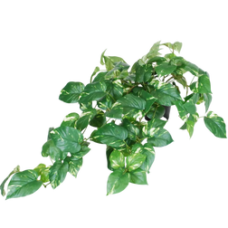 Kunstige hengeplanter
