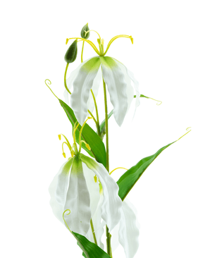 Kunstig Gloriosa Real Touch Hvit 75 cm