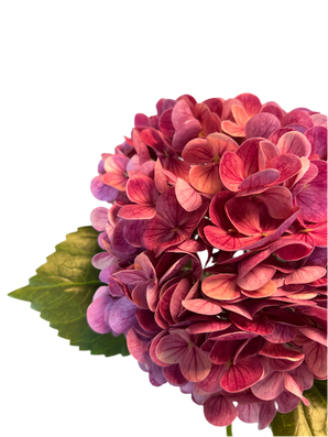 Kunstig Charlotte Hortensia Real Touch Lilla 55cm