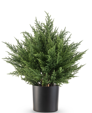 Kunstig Tuja Deluxe UV 40 cm
