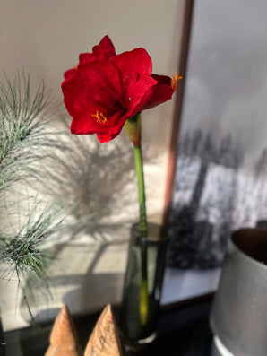 Kunstig Amaryllis Blomst Rød 66cm