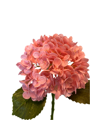 Kunstig Charlotte Hortensia  Real Touch Mørkerosa 55cm