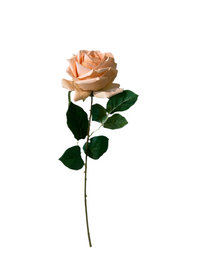Kunstig Rose "Emine" Real Touch Champagne 43cm