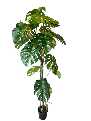 Kunstig Monstera Split 180cm