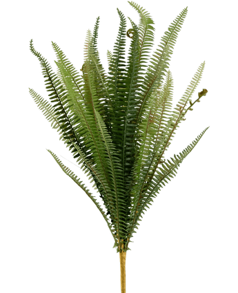 Artificial Stitch Fern 64 cm