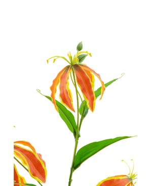 Kunstig Gloriosa Real Touch Oransje 75 cm