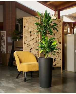 Blomsterpotte TUIT RAW Antrasitt 60 cm