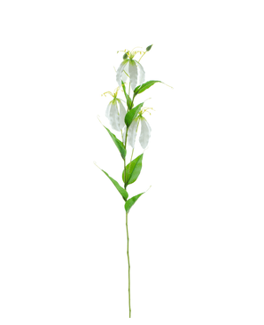 Kunstig Gloriosa Real Touch Hvit 75 cm
